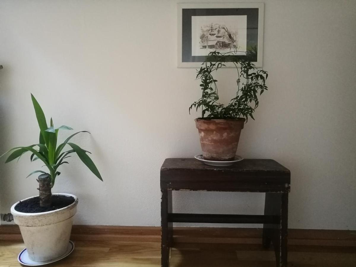 Green Vagon, Farm B&B Rooms For Rent イェリング エクステリア 写真